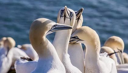 余姚2026年最新杭州高端商务伴游招聘网渠道分享(最方便真实的余姚茉莉伴游伴游天下全国联盟方法)