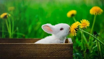 余姚2026年最新北京商务伴游经纪招聘渠道分享(最方便真实的余姚北京爱特博旅运服务有限责任公司招聘方法)